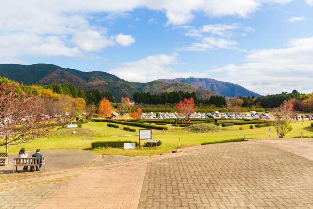🌳 다카시마시 농업공원 마키노 픽랜드 (다카시마시 노교코엔 마키노 픽쿠란도) 이미지 1